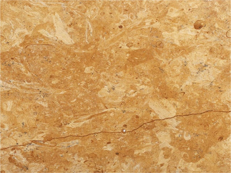 flowery-gold-marble-polished-tiles