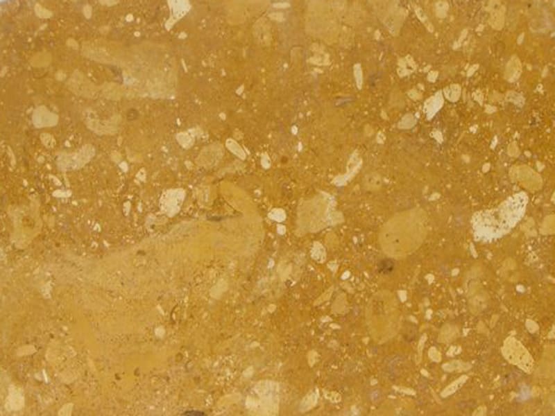 fossil-gold-limestone-honed-finish-cut-to-size-tiles