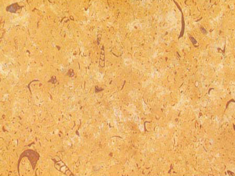 galaxy-gold-limestone-polished-tiles
