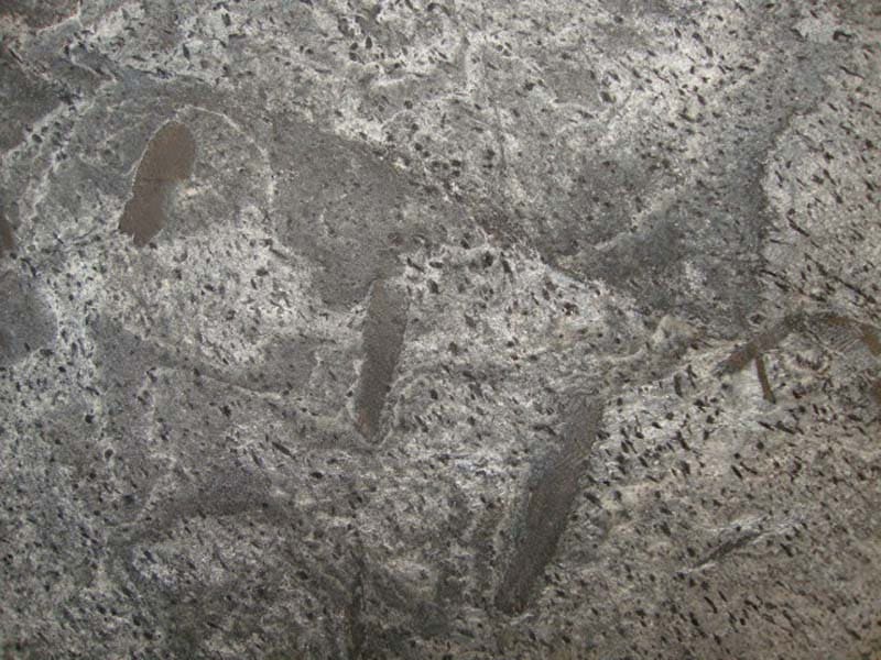 z-grey-quartzite-natural-wall-slate-tiles