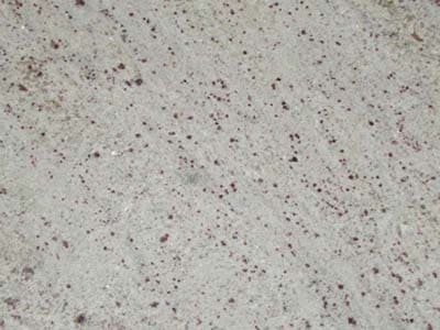 amba-white-south-indian-granite-tiles-supplier-exporter-manufacturer