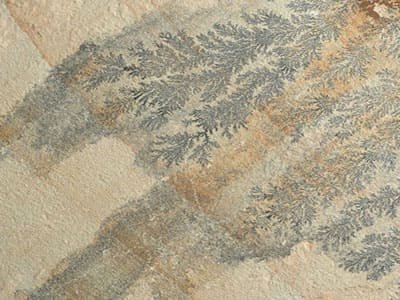 fossil-mint-sandstone-floor-paving-tiles-wall-cladding-slabs-decorative-natural-stuff-exporter-trader-wholesaler-supplier