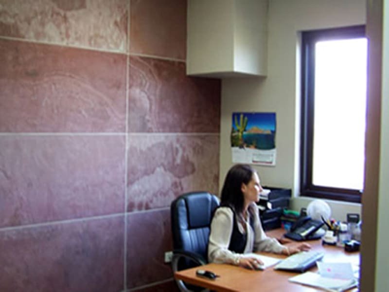 terra-red-slate-tiles-veneer-decor-office-different-pattern-cladding-uses